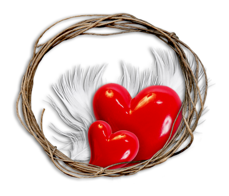 0_a24a7_3262c617_XL.png