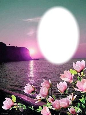 4c809e37b0d225cd161ddbaea122ed15