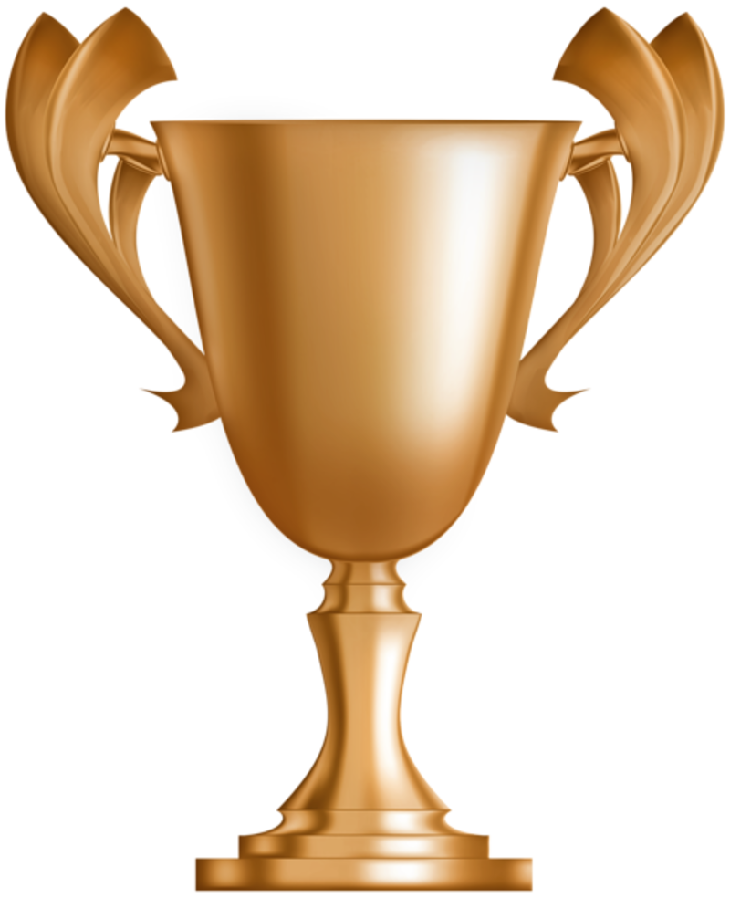 Bronze_Cup_Trophy_PNG_Clip_Art_Image.png