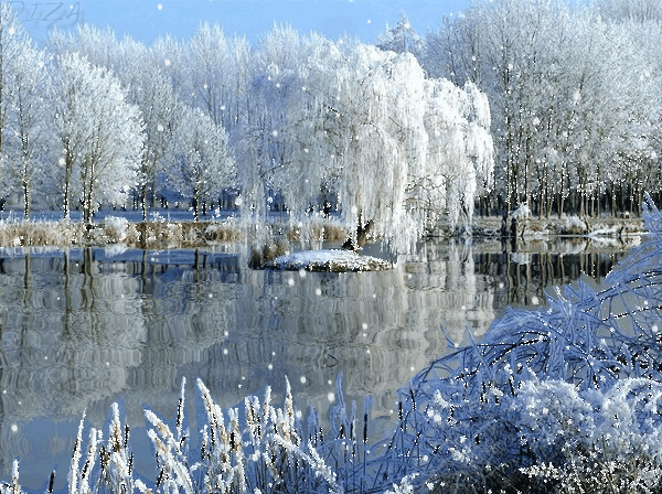 af8bdd9a.gif