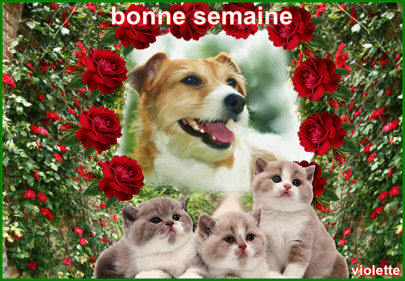 oie_opUAbcSXMAew.jpg