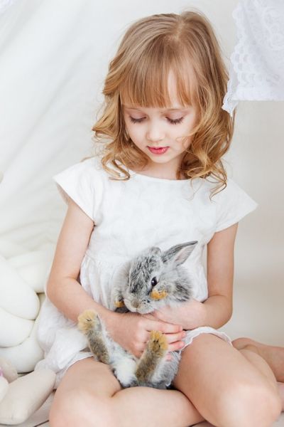 rabbit-3660681_960_720